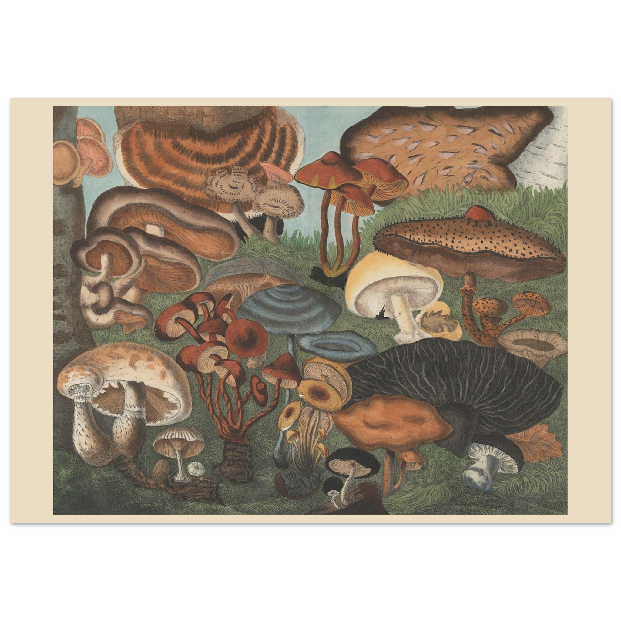 a3a2f9ae-e320-4a86-ae85-2fbd582e4bcb