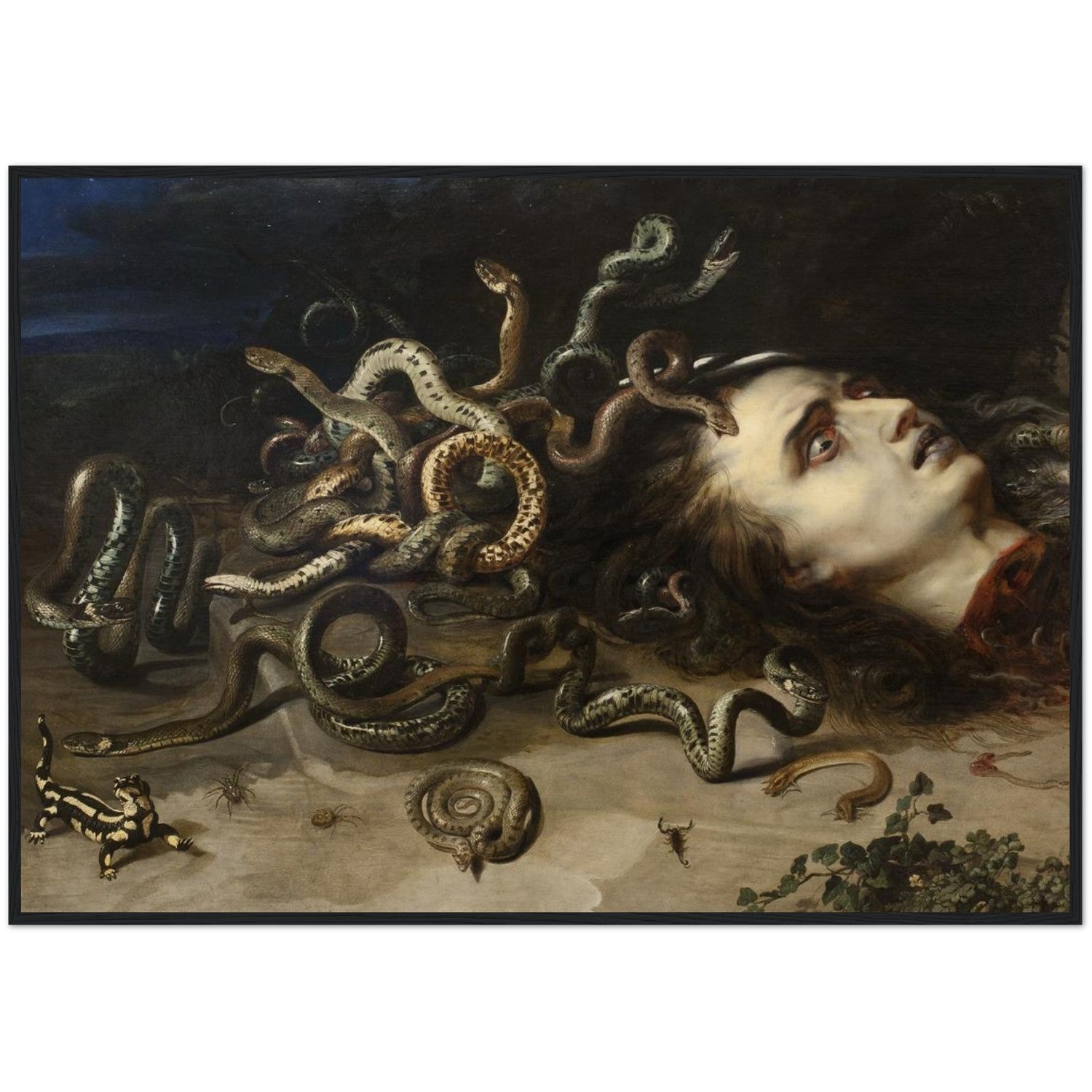 Medusa Head Print