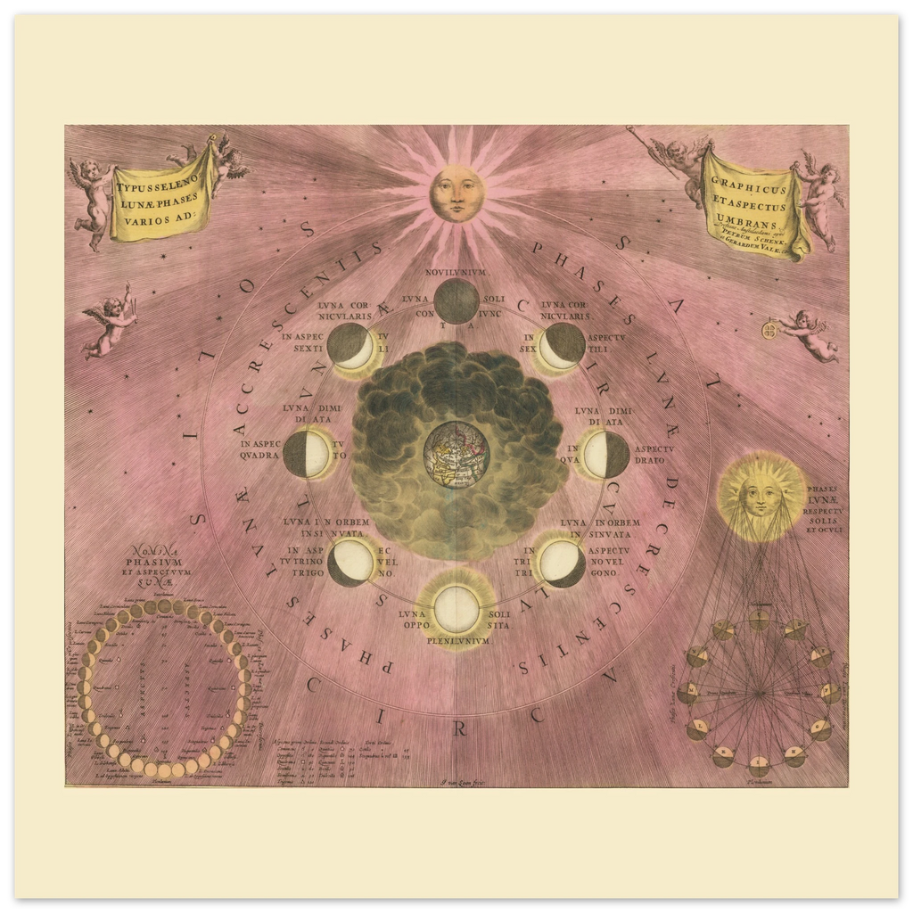 ab8e56db-379d-4cbb-94bb-7140fae310b8