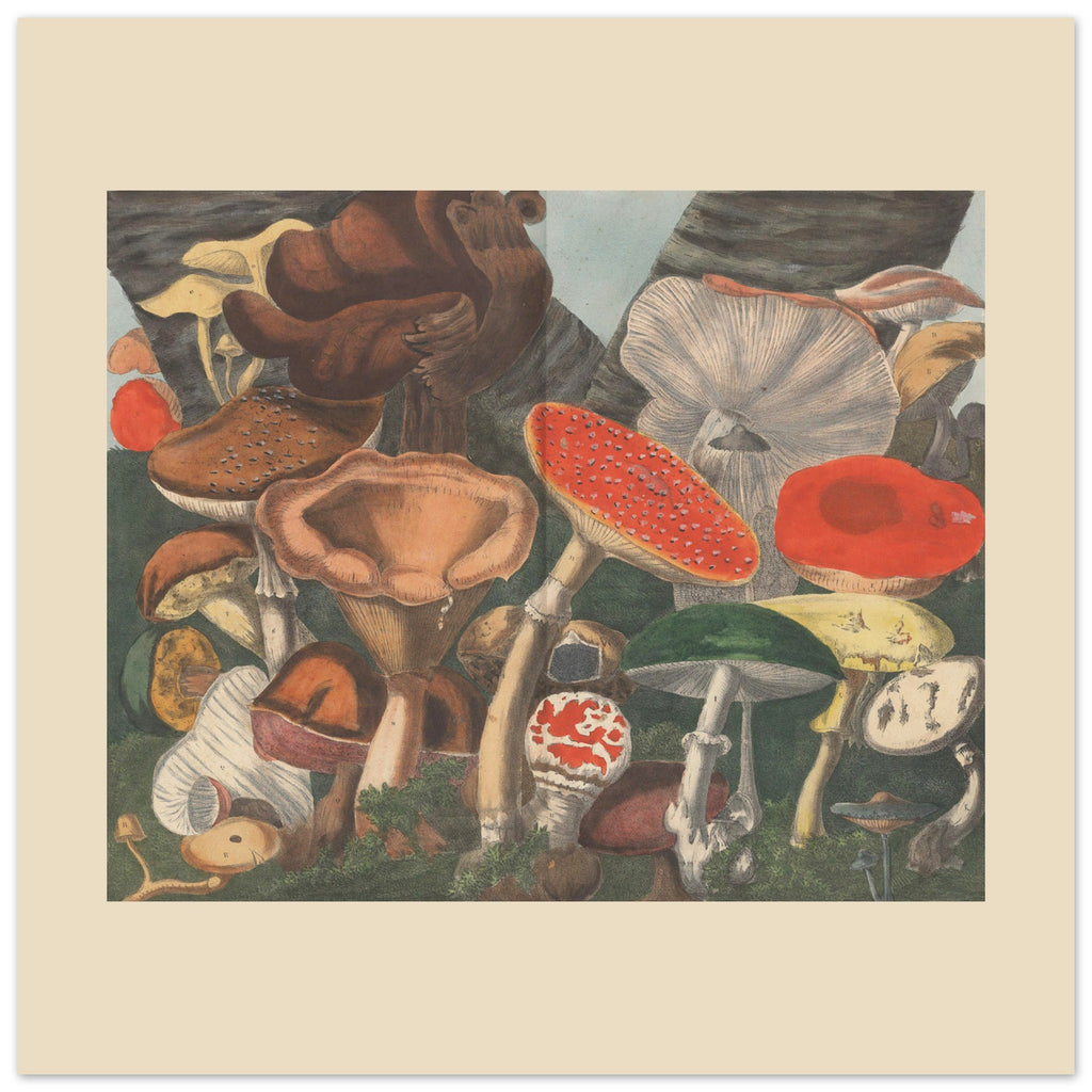 ac8de4a6-6572-47bd-b5b3-14e4e3fdc0e5