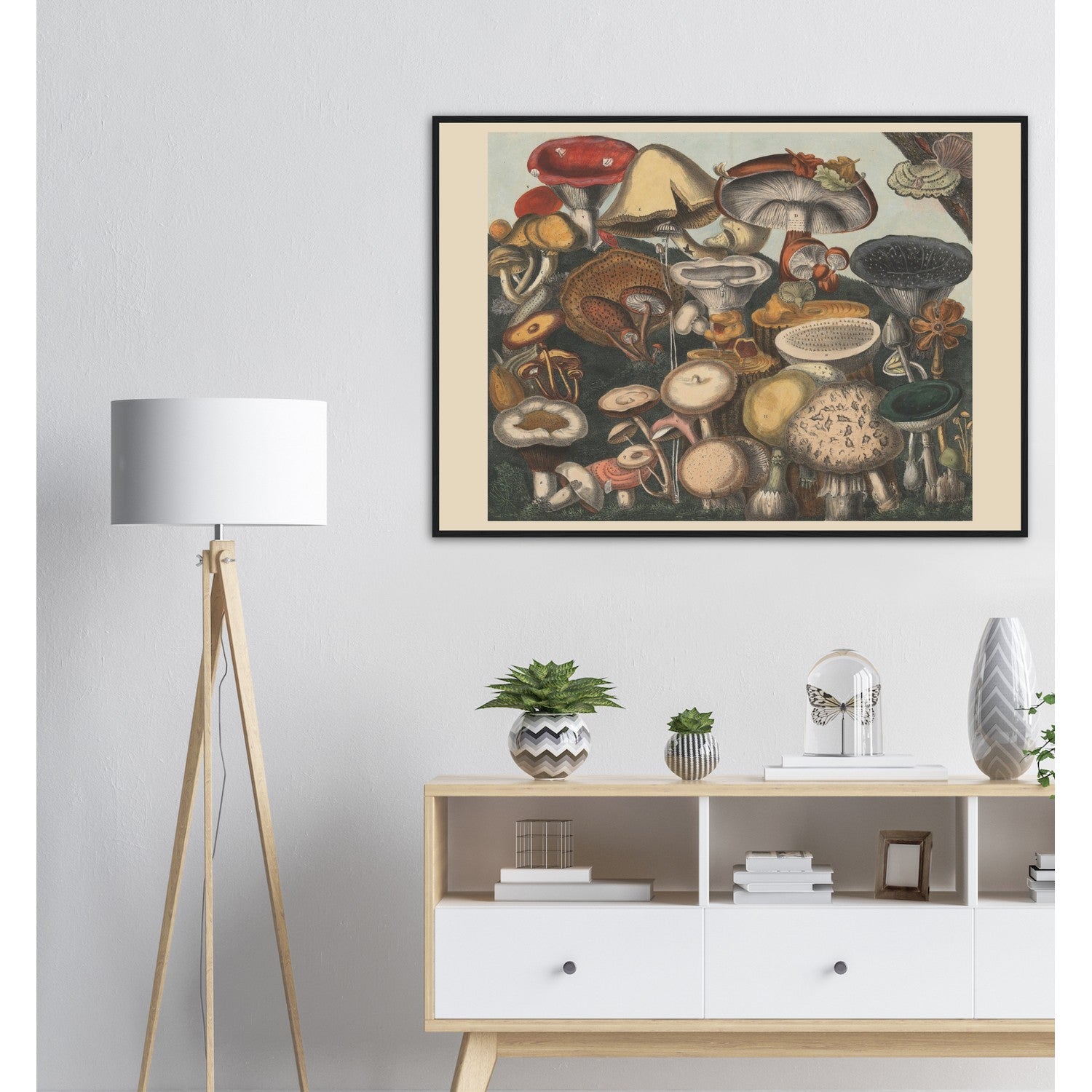 Atlas des Champignons 9 Print