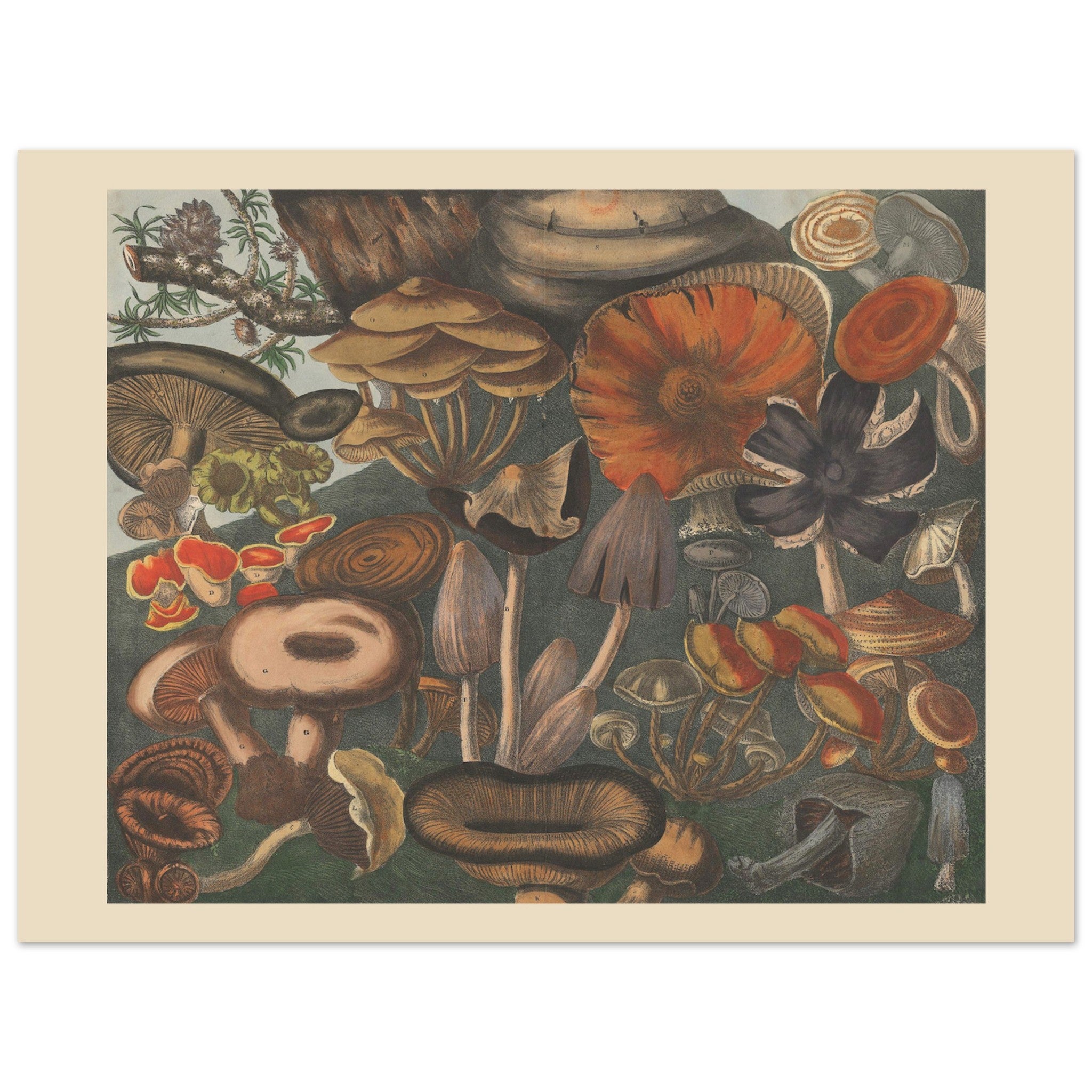 adc31673-5555-497f-98d4-6a897070f99f