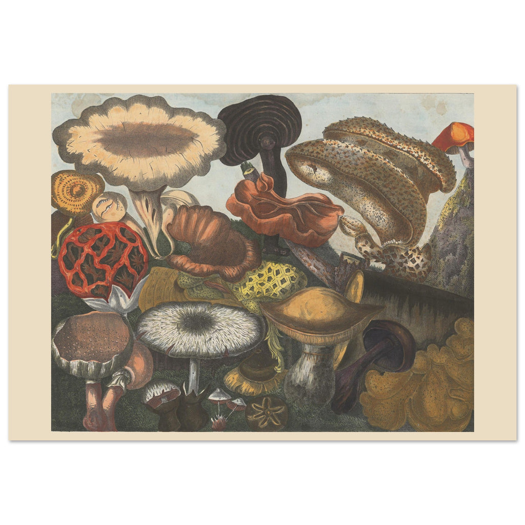 b4c7b88f-5fd1-4bb4-8362-83d889d82e79