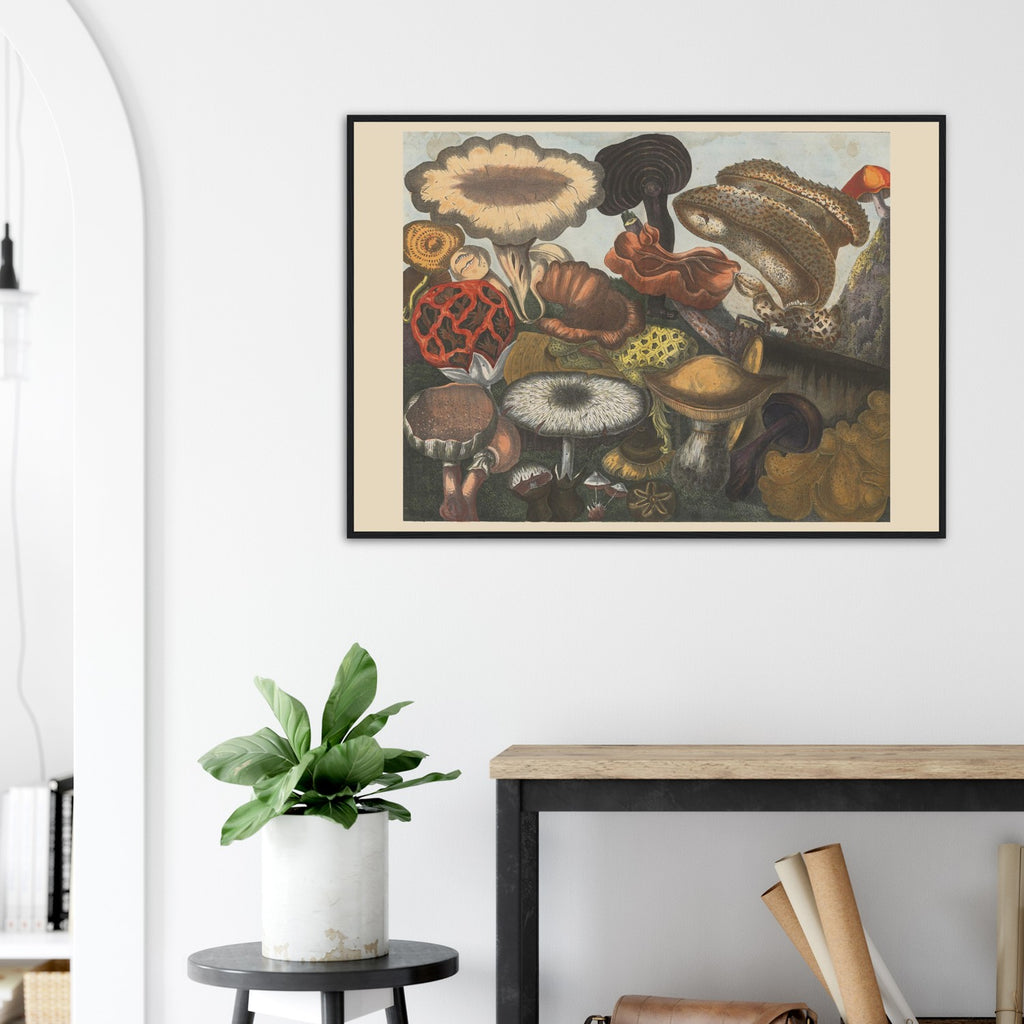 Atlas des Champignons 7 Print
