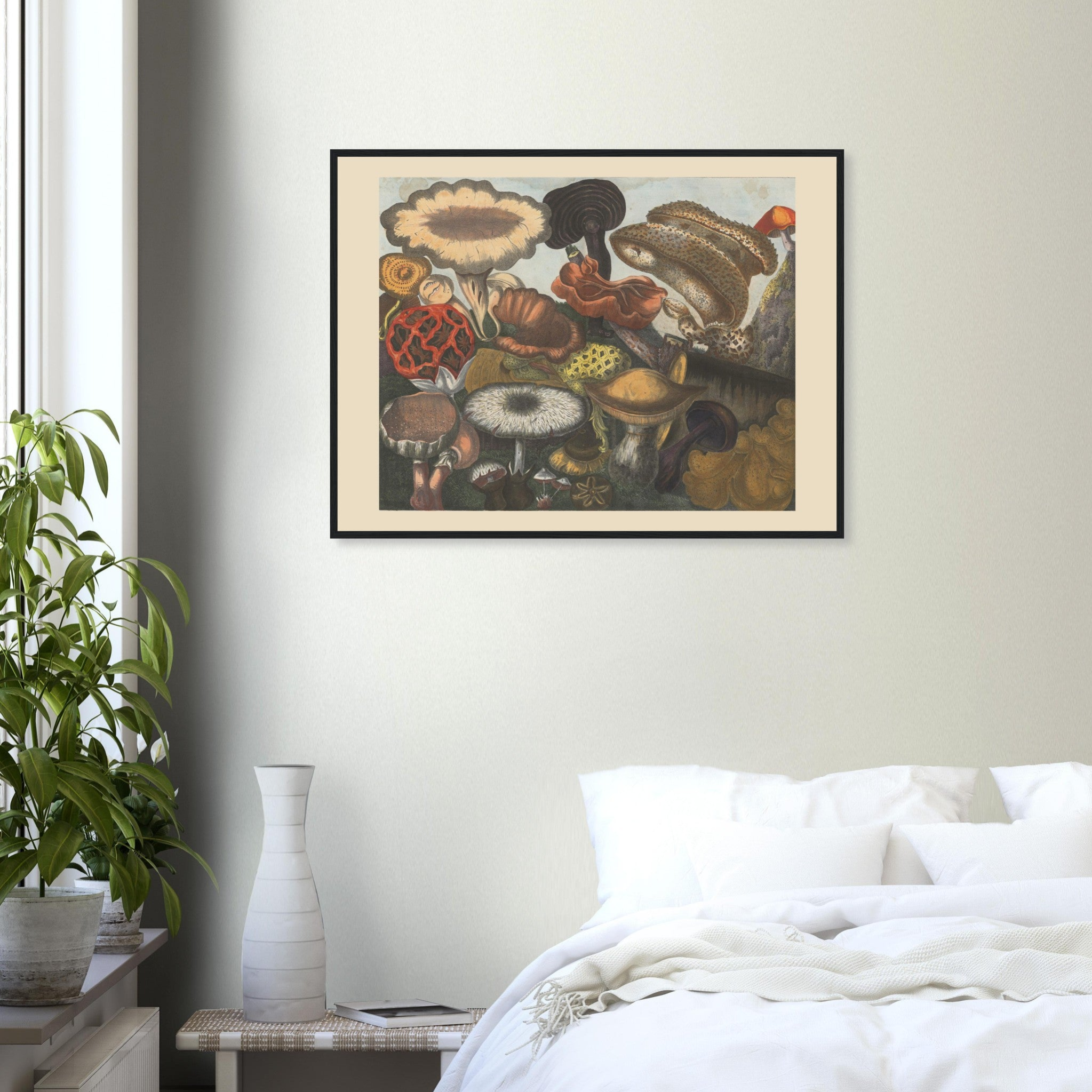 Atlas des Champignons 7 Print