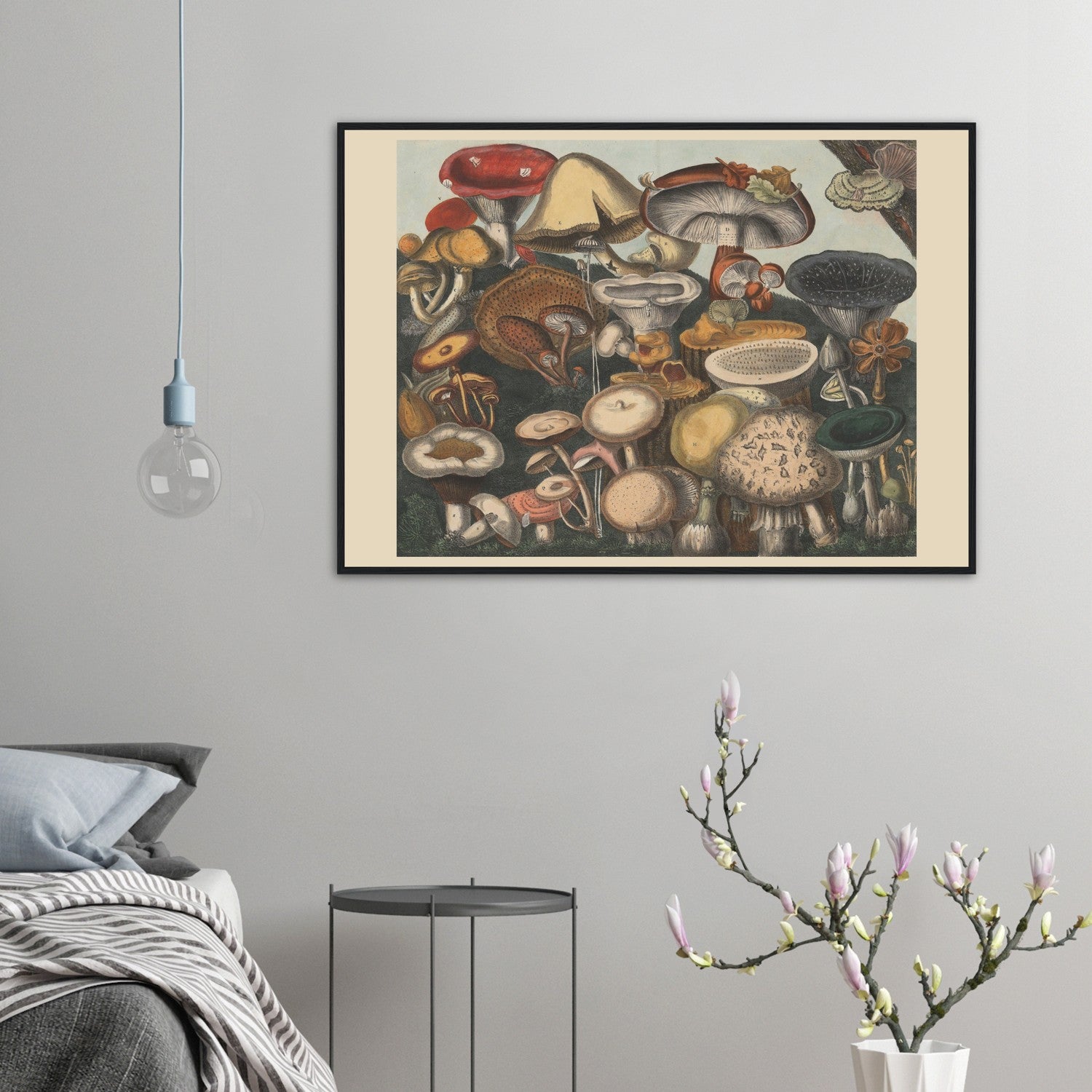 Atlas des Champignons 9 Print