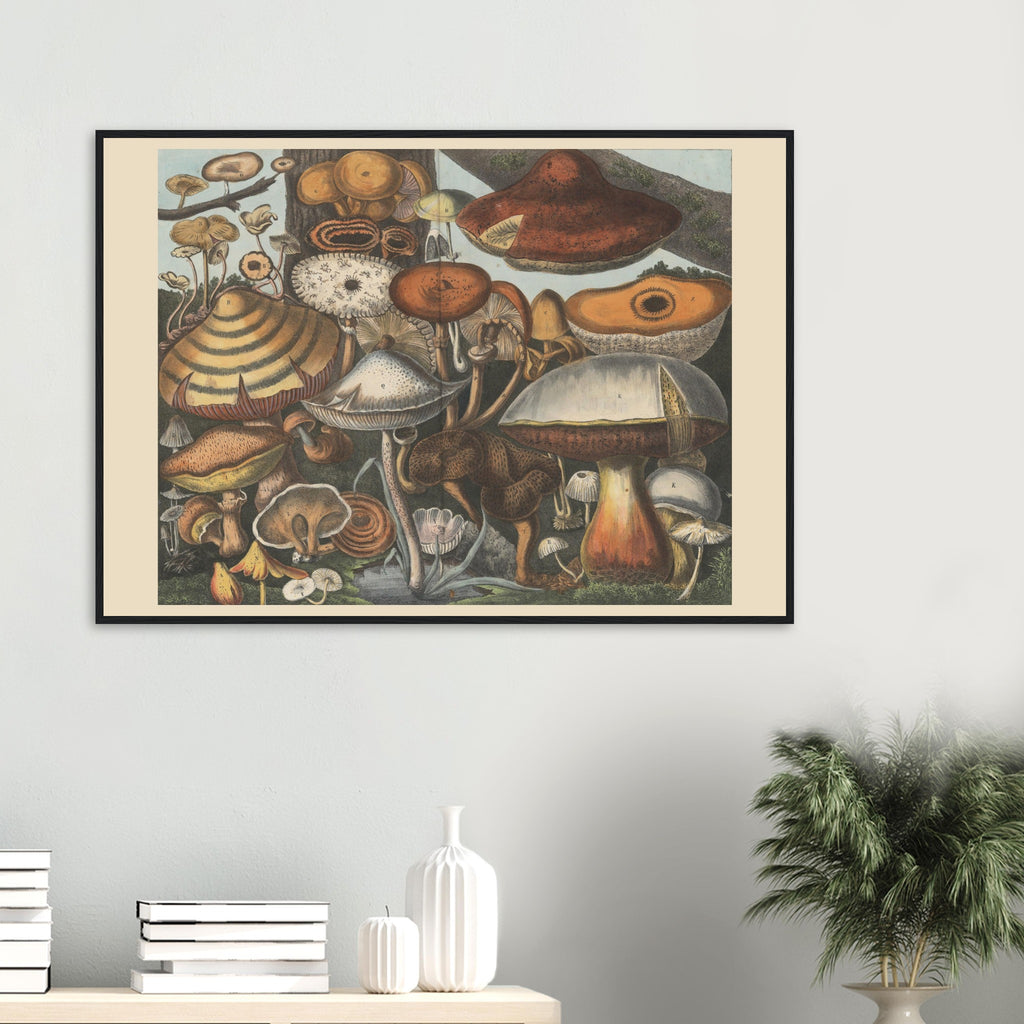 bf4a0980-14f9-4c61-9820-56fd5dddb8f4