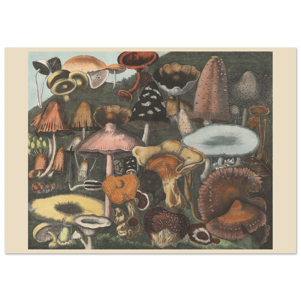 c13a78e7-296d-4609-bc08-fa69ac67c392