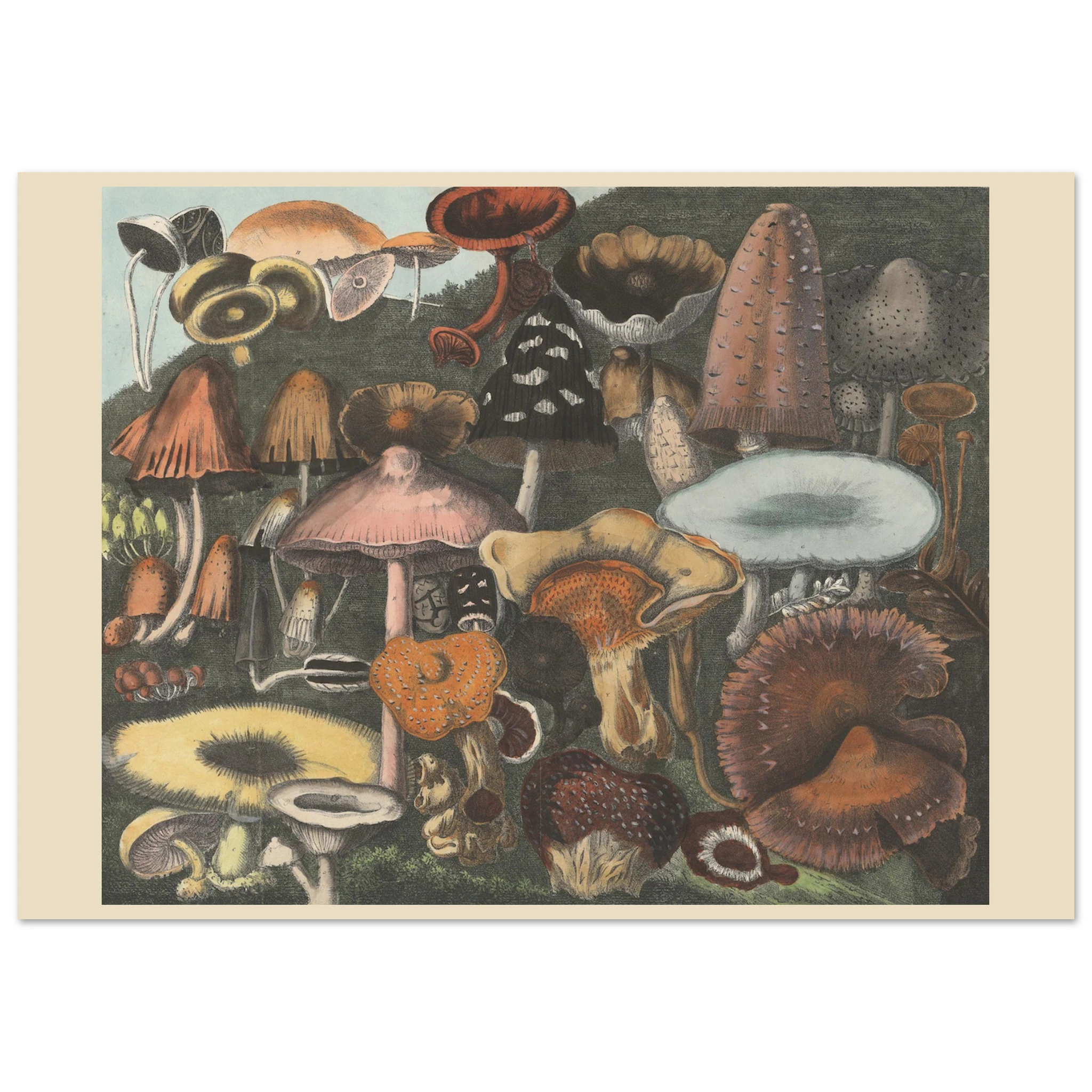 c13a78e7-296d-4609-bc08-fa69ac67c392