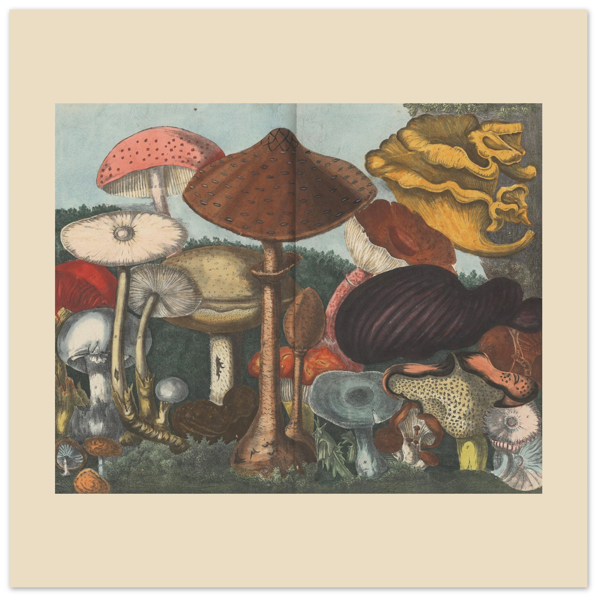 c604a00d-d837-4da0-9595-bdfc720057a3