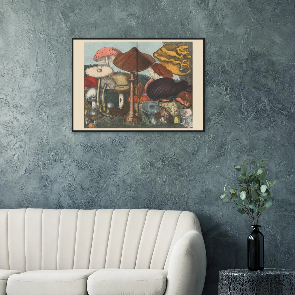 Atlas des Champignons 4 Print