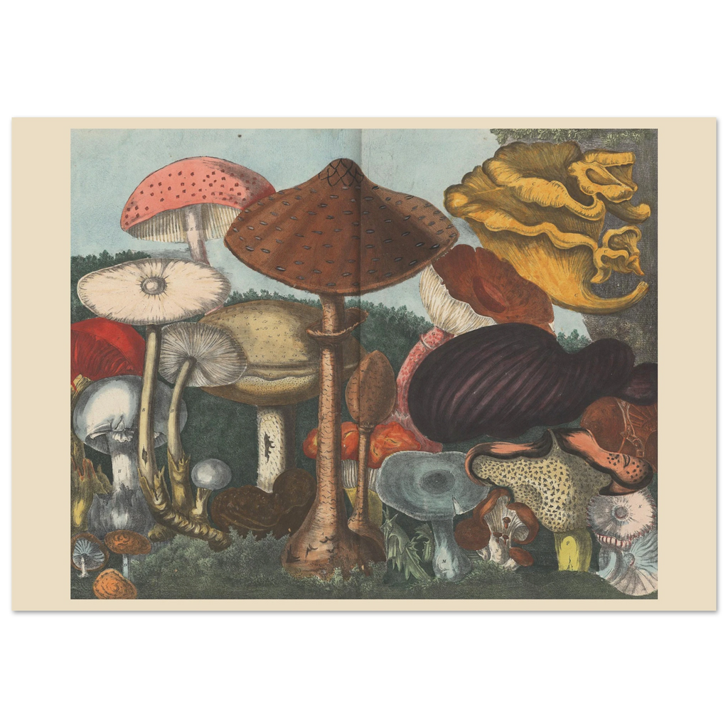 d0e70639-b12d-4b0f-b576-195db0a41122