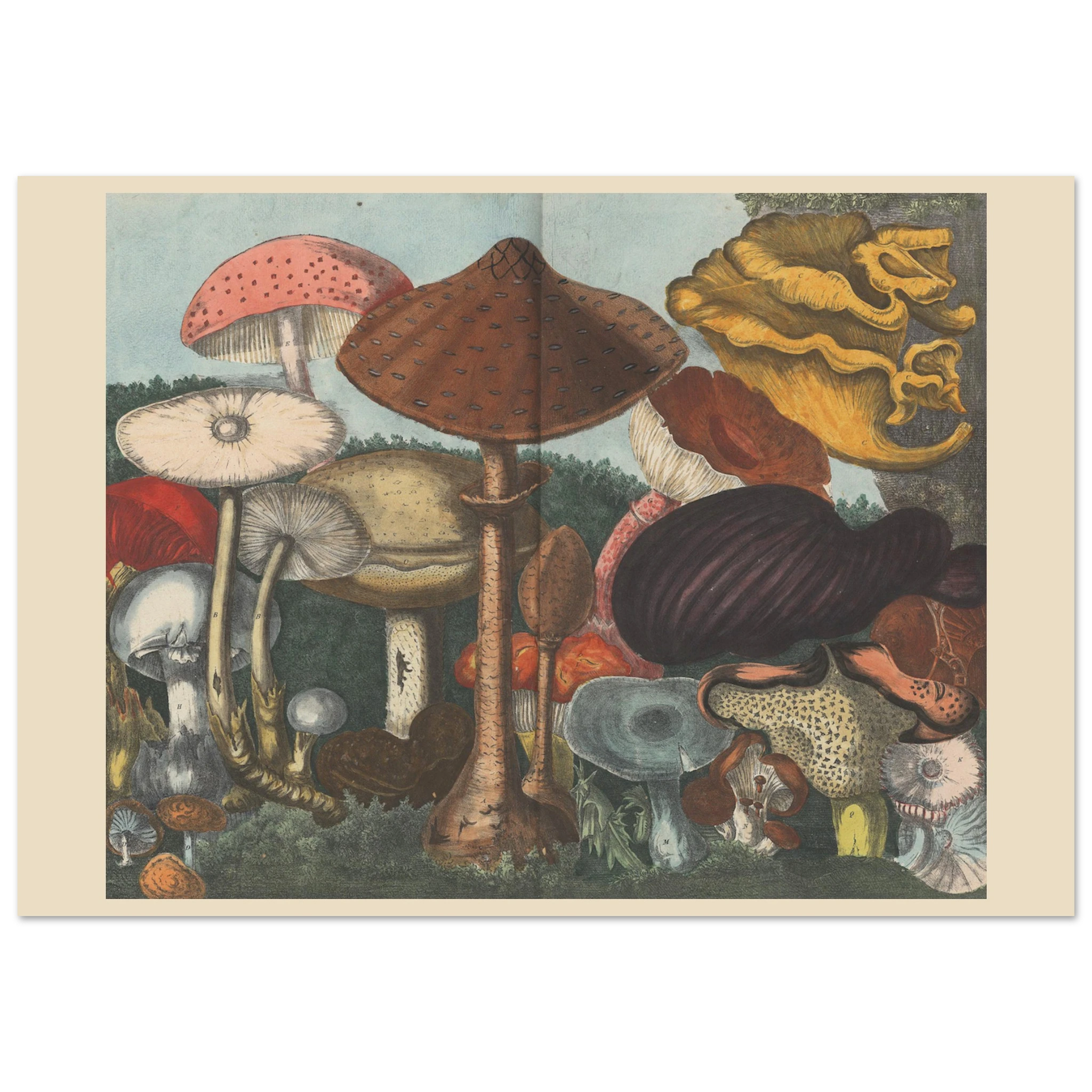 d0e70639-b12d-4b0f-b576-195db0a41122