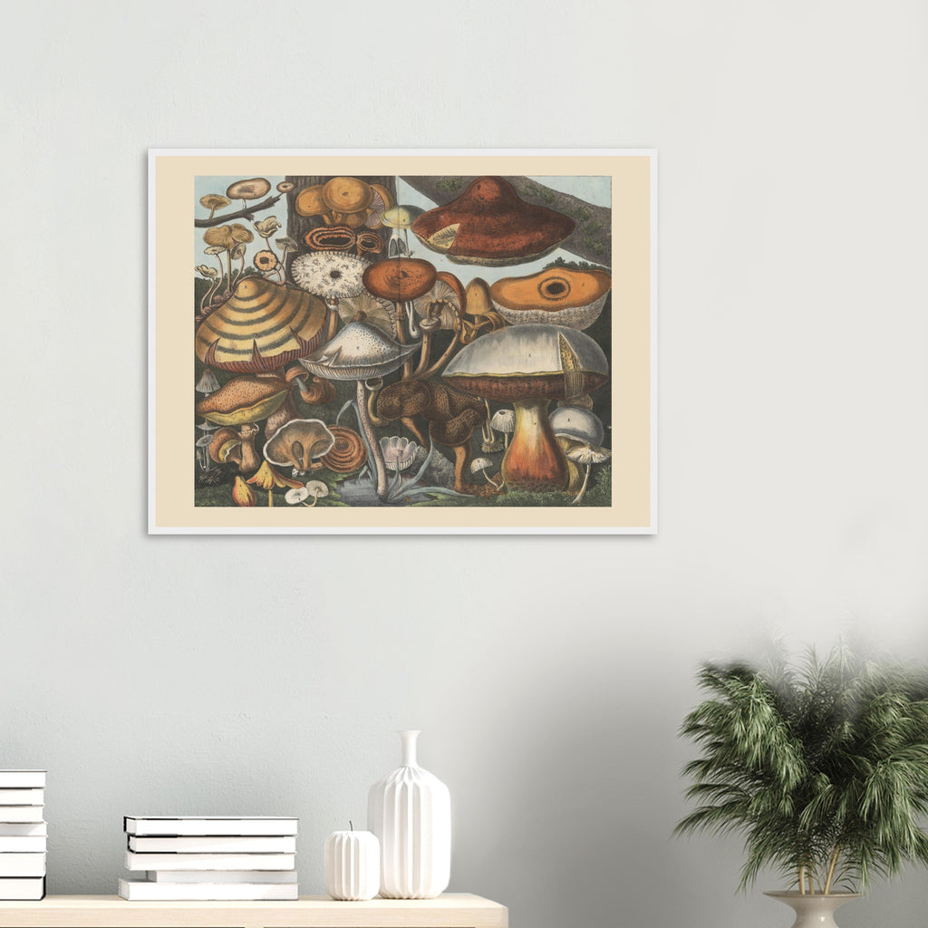 d436727c-d58c-49ea-bbda-128601b010c6