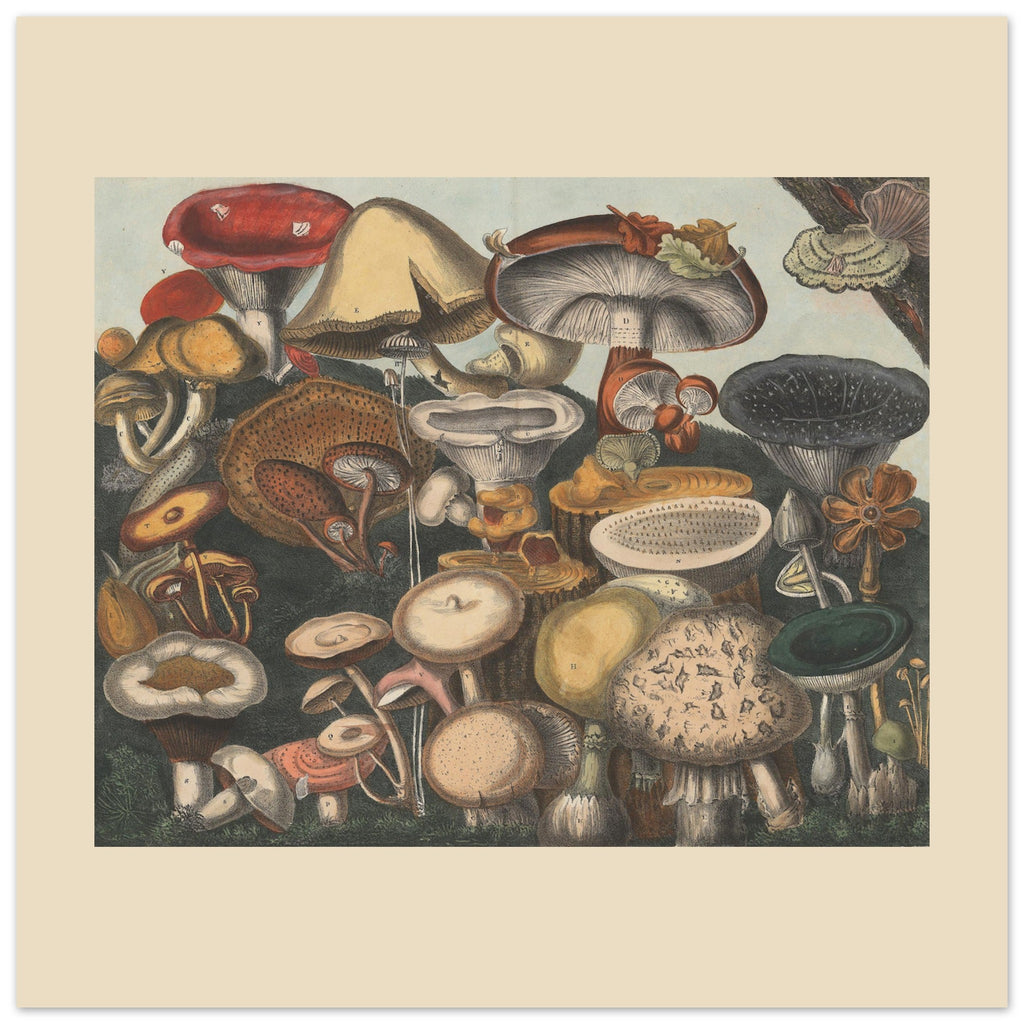 d5248bb6-0f9d-4d0e-99ed-4c69f3357ca5