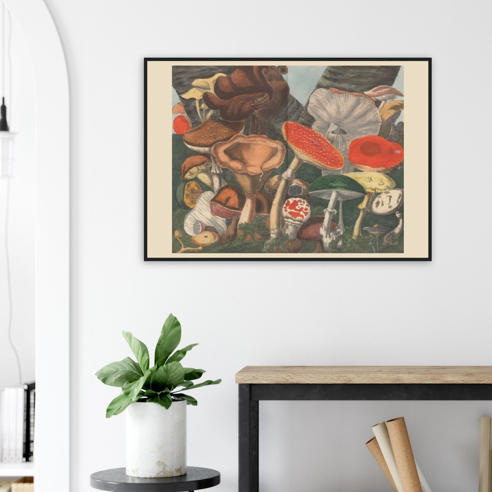 Atlas des Champignons 8 Print