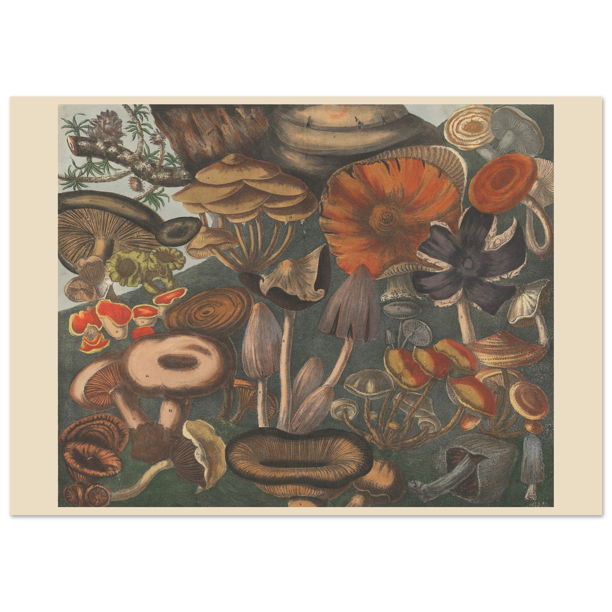 d77f604e-2bcf-4c63-b3f8-f168be067855