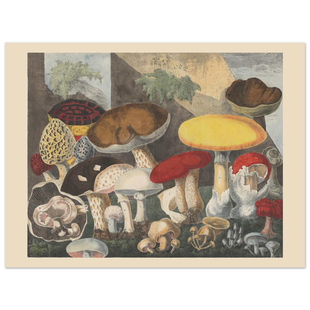 d8a6eb0e-b5e8-44b4-adba-8e4025217e86