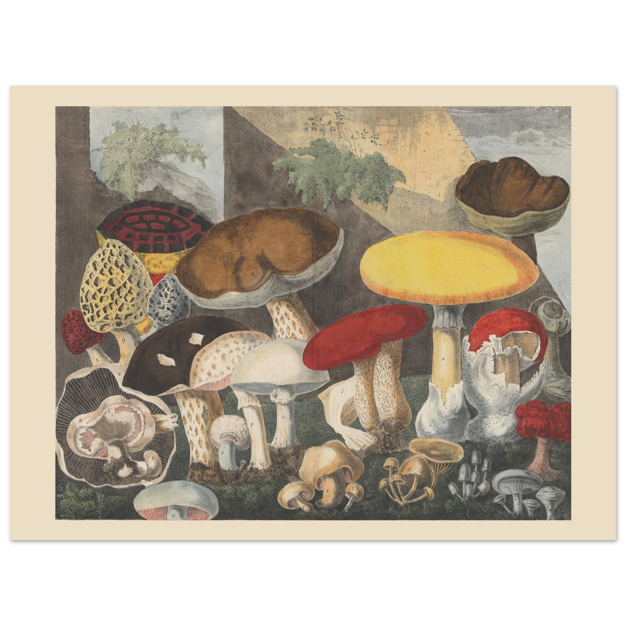 d8a6eb0e-b5e8-44b4-adba-8e4025217e86