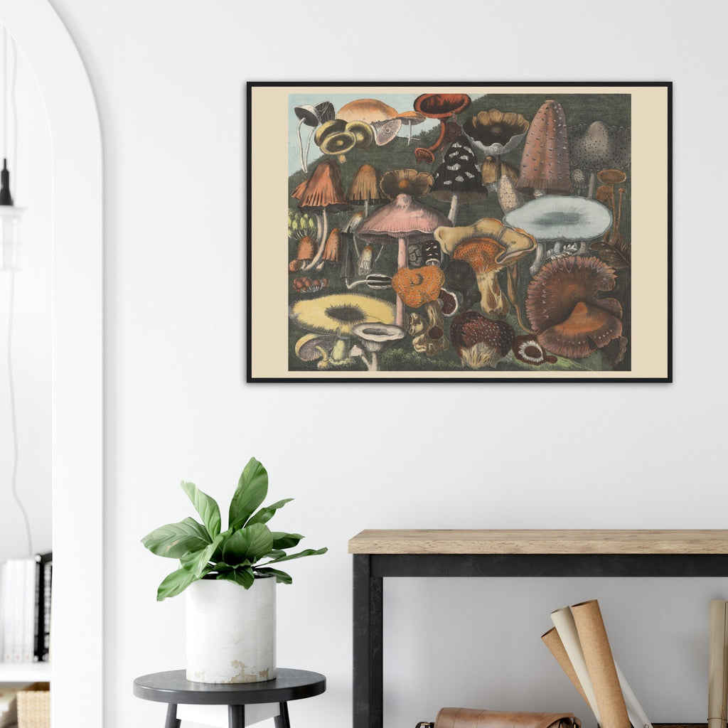 Atlas des Champignons 5 Print