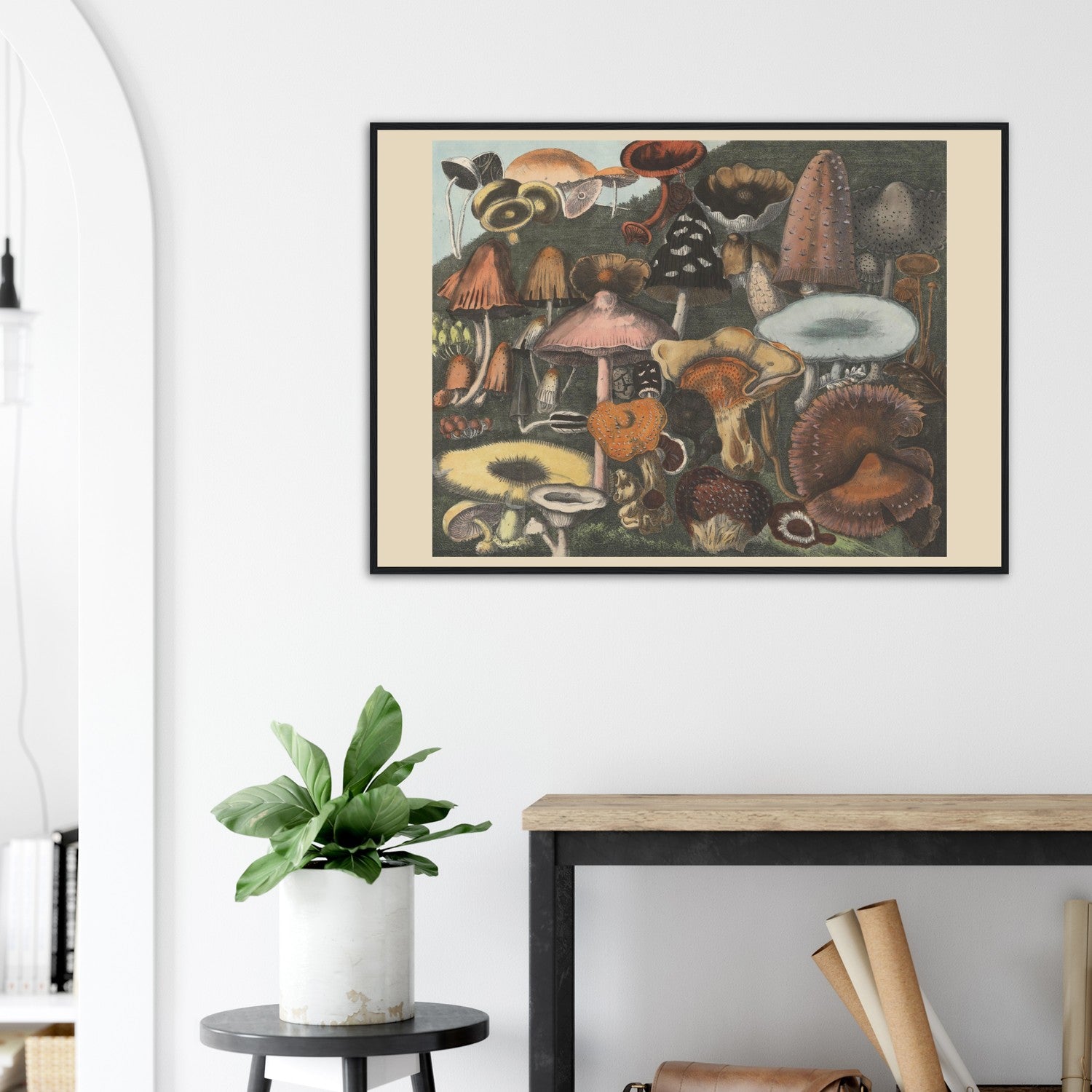 Atlas des Champignons 5 Print