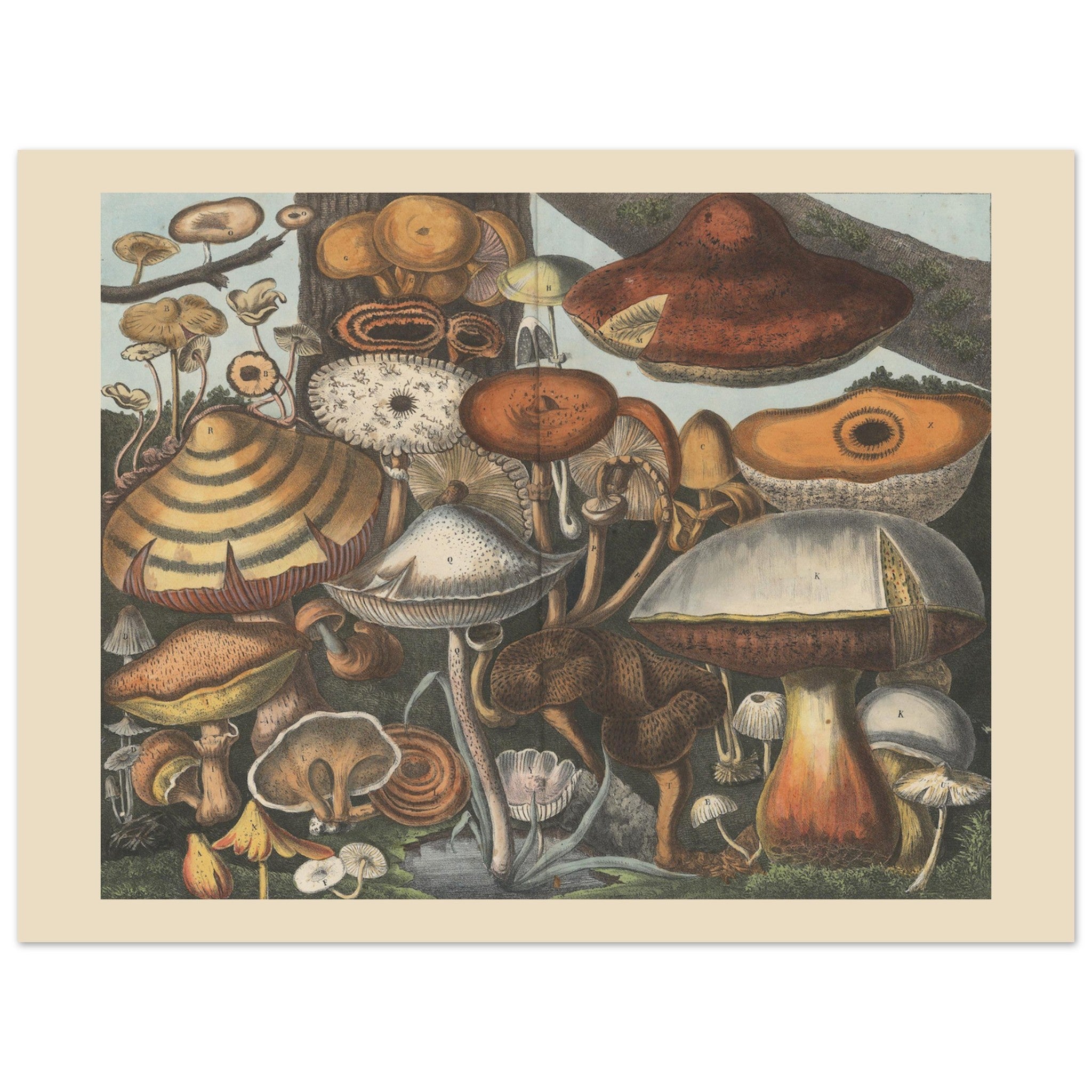 ec57dc90-0b97-4fe8-9294-bce2b454333b