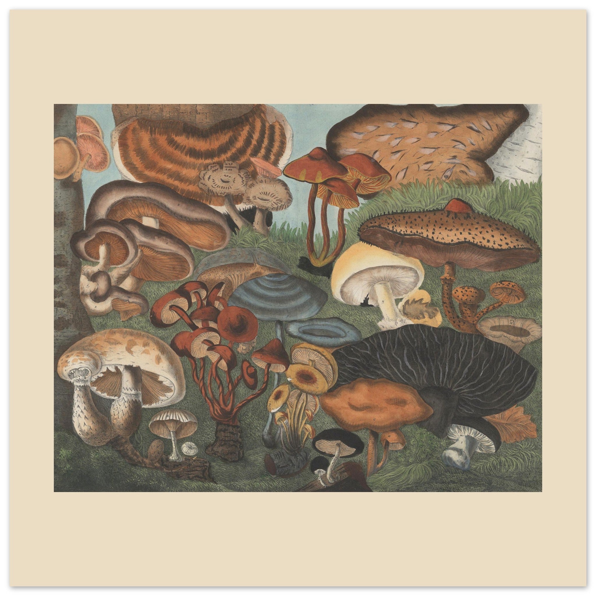 f6118d8a-9fb8-4ec9-9b4f-dab4de09ee18