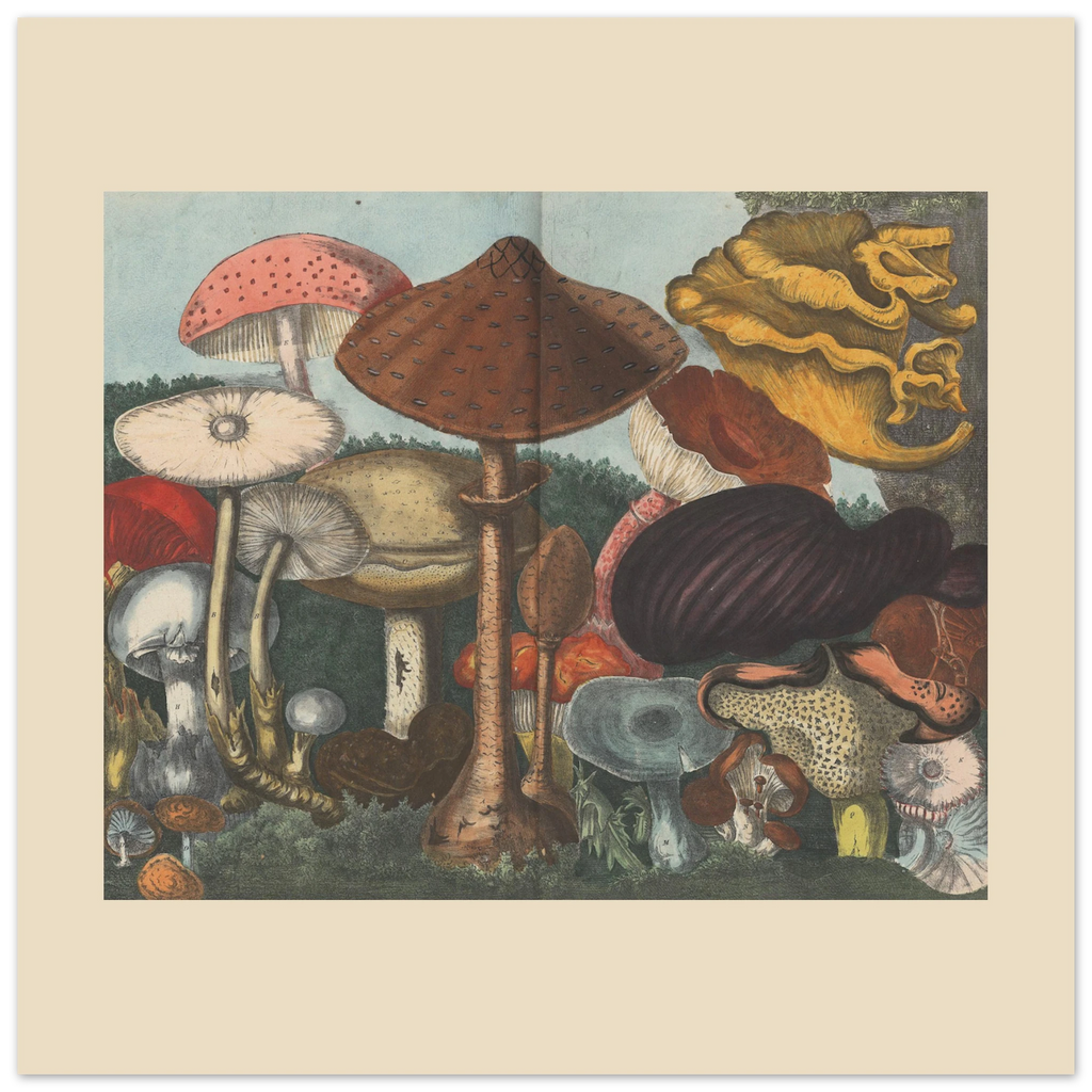 fa2165ab-308a-4252-9b7d-d9db821a5d92