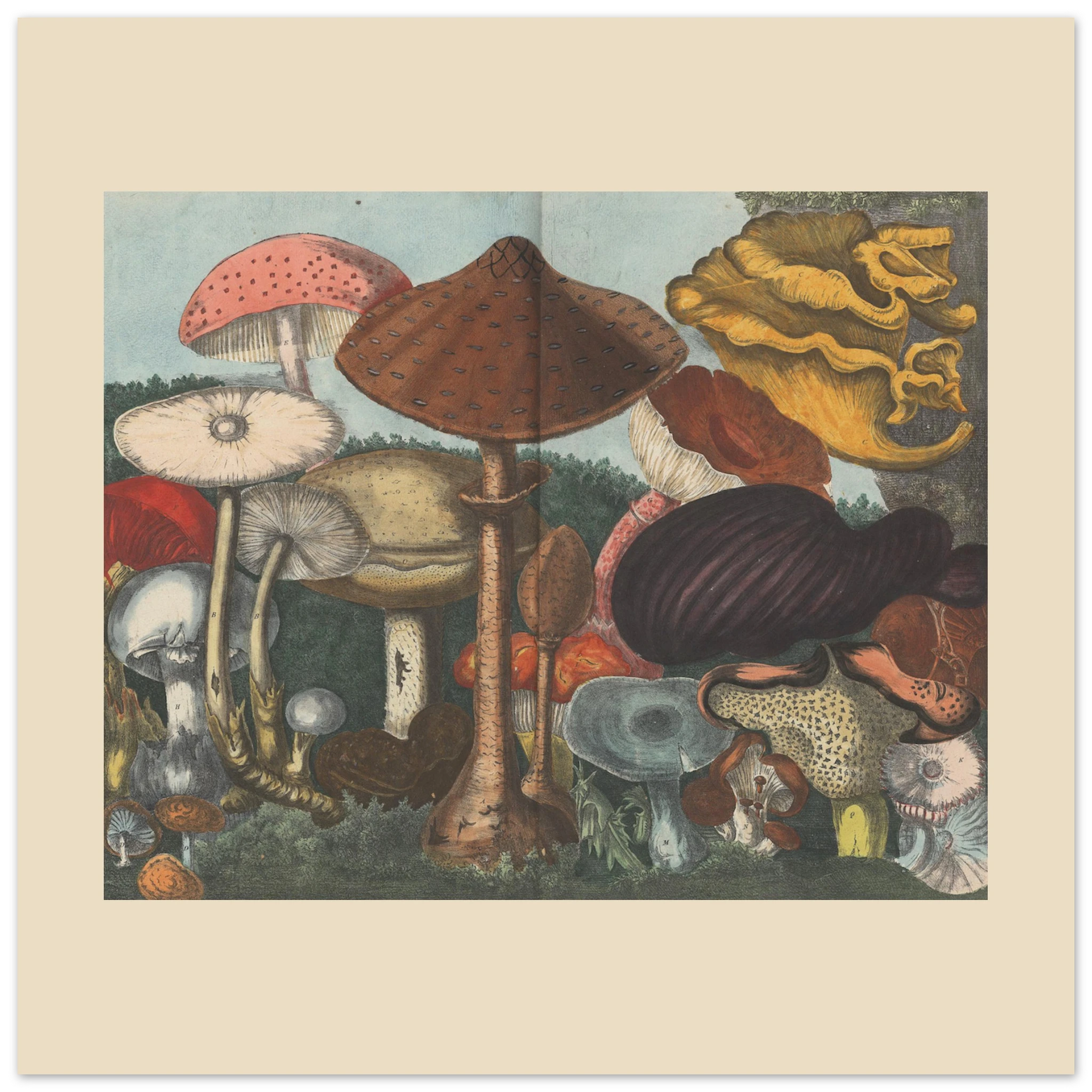 fa2165ab-308a-4252-9b7d-d9db821a5d92