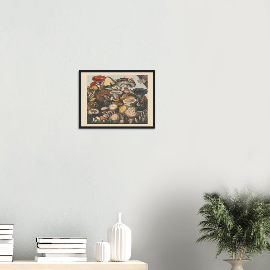 fad86363-ae63-4dcb-9542-3632360572cb