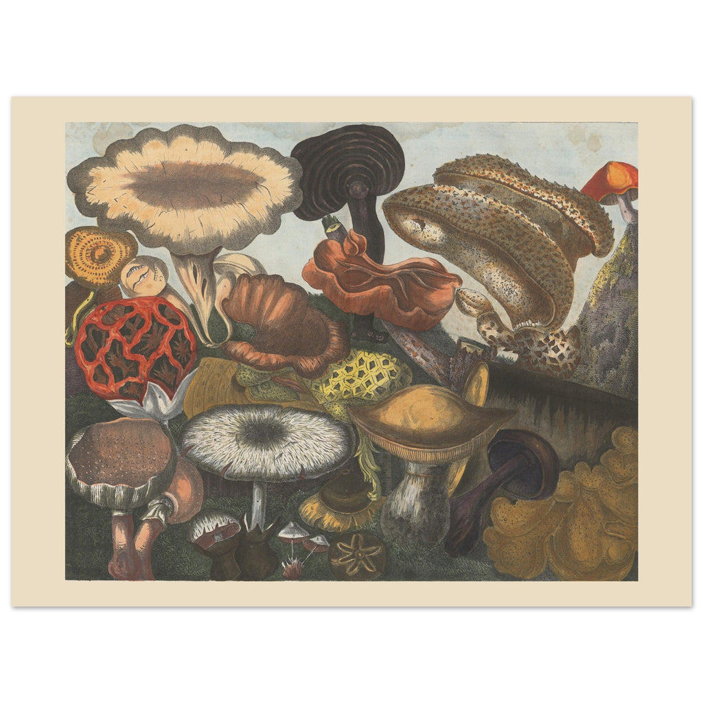 fe757180-def1-4439-806b-1a7c7bb154e4