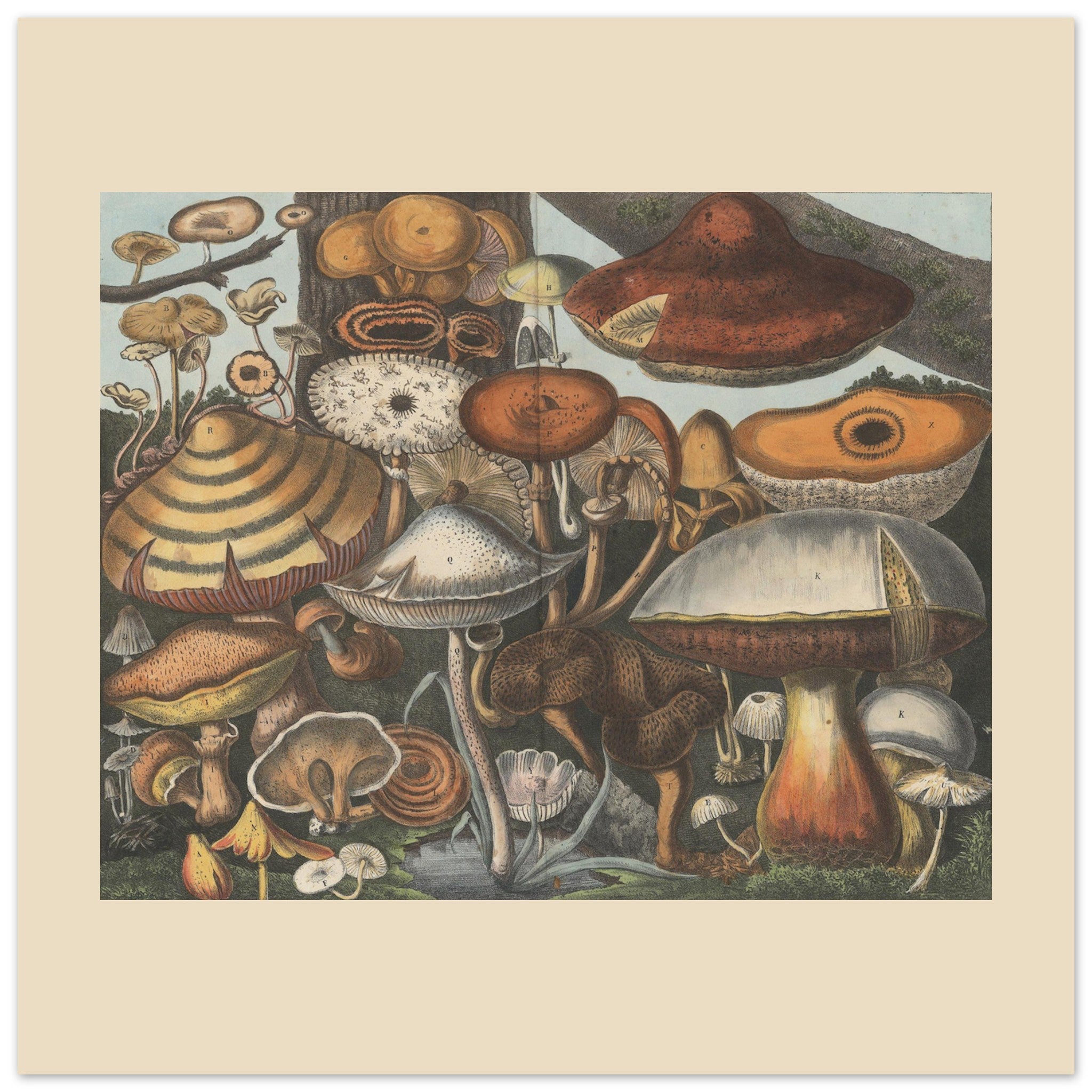 ffa2ef23-95fc-4a2e-bc93-9f34f862431b